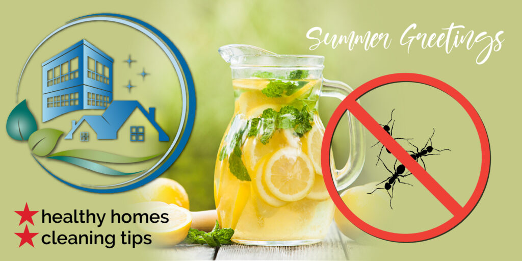 When life will give you lemonade: get rid of ants!